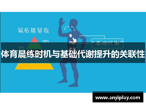 体育晨练时机与基础代谢提升的关联性